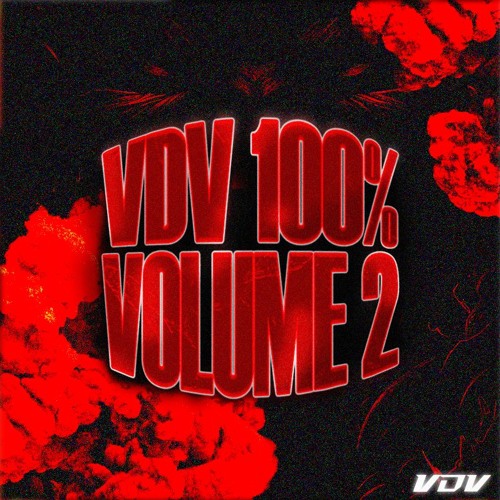 VDV - 100 % MIX VOLUME 2