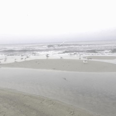 Johann Sebastian Bach - Partita No. 2 In D Minor, BWV 1004 - V. Ciaccona Gabor Podhorszky