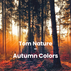 Tom Nature - autumn colors