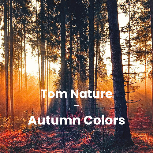 Tom Nature - autumn colors