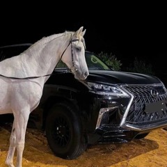 بنك حرب