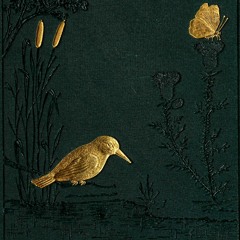 After Fashion [live 2023]