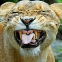 VRGO, Mishell - ULICHNO MOMCHE (Official Visual)