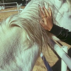 حاوطوا سور المدينه واحبسوا قلبي رهينه