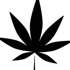 cannabis