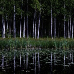 Maniak 415 / 9.5.14 [Remastered]