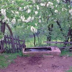 Djordje Balasevic - Ne Lomite Mi Bagrenje (Lo-Fi Remix)