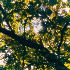 as you were dreaming, the world whispered softly (DEMO)