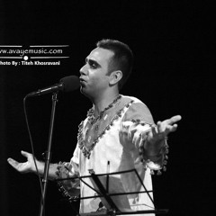 چلچله باد شمال(امیرمیرشکاری)بوشهر