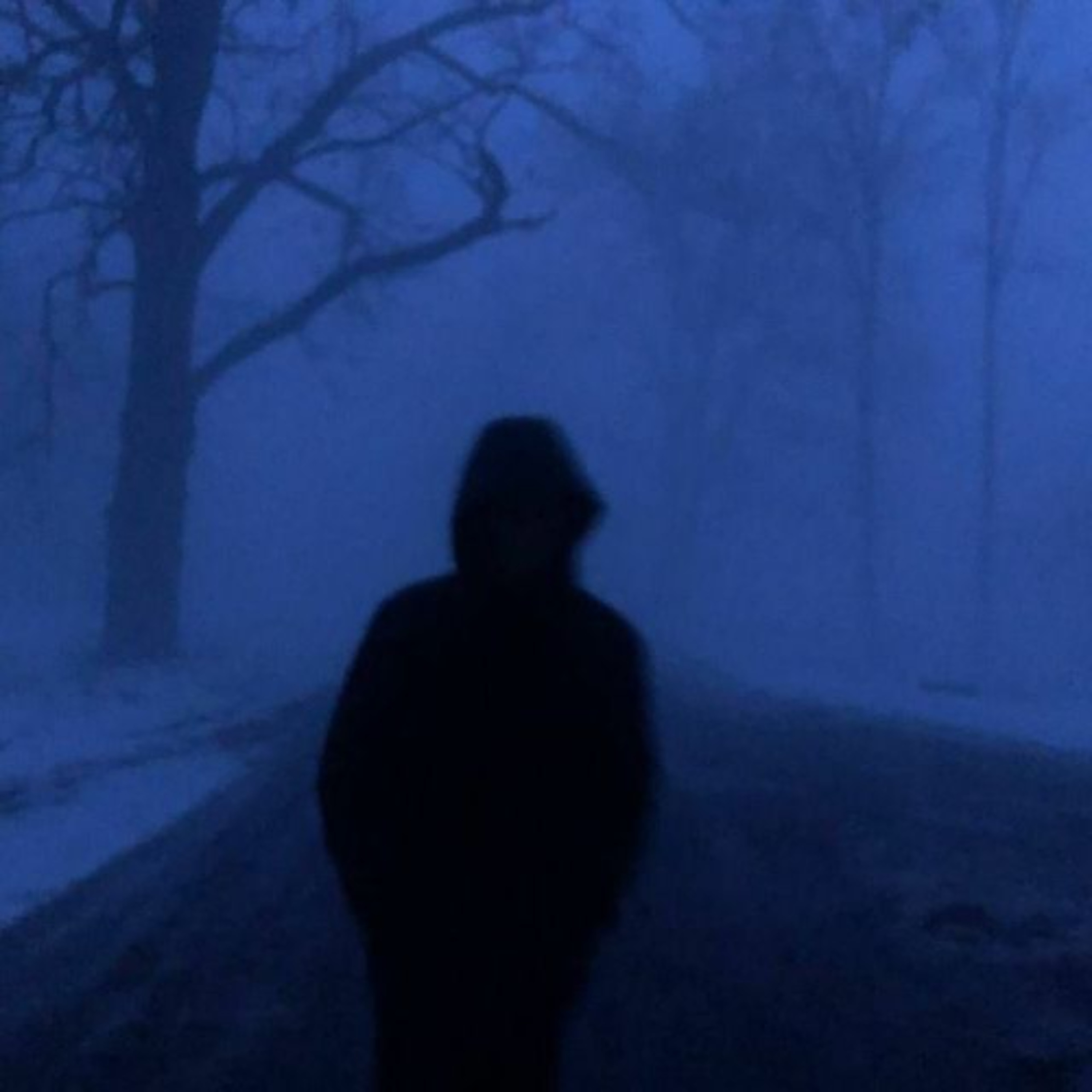Sibewest - Frozen (demo 2021) episode artwork