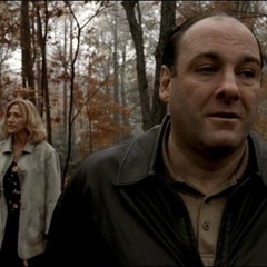 a patient (Glare - do not enter × tony soprano)