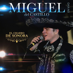 Medley Vicente Fernandez: Aca Entre Nos / Por Tu Maldito Amor / De Que Manera Te Olvido / Estos Celos (En Vivo)