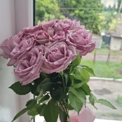 Ну хоч слово · АЗІЗА