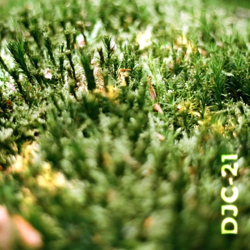 DJC-21 Summertime DnB Jungle