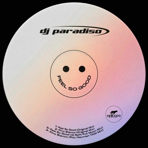 PREMIERE : Dj Paradiso - Feel So Good