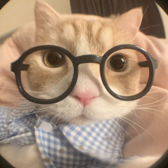 빌어먹을 I (INFP)