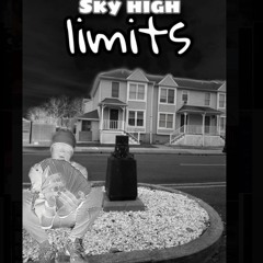 Rogue Shinobi (SHL) - PM