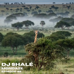Jay Shalé - Mondaze Ep 49