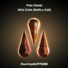 Pete Delete - Wild Child (MaRLo Edit)
