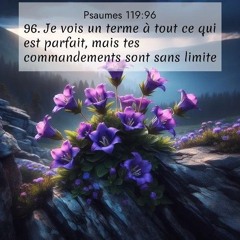 Mercredi 10.09.2025 • Psaume 119.96 • La PAROLE de Dieu, une réalité de PERFECTION en tous points