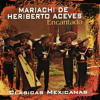 la-raspa-mariachi-tenochtitlan-de-heriberto-aceves