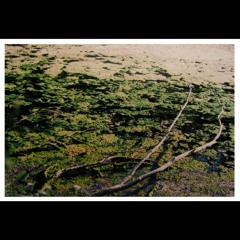 2. recuerda qué soñaste