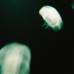 electronica6