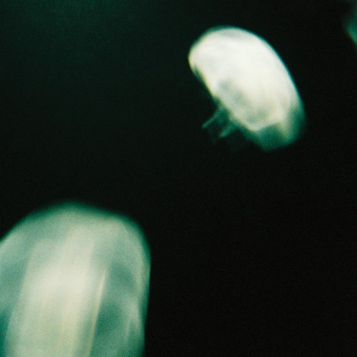 electronica6