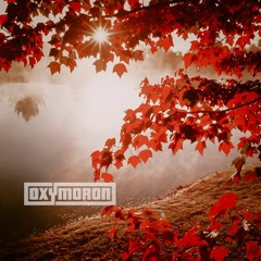 Seasons Mix Series