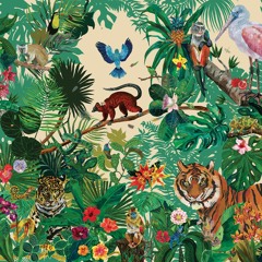 Medaine - ETHNIC DOWNTEMPO MIX