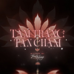 Mixtape Tâm Trạng Tan Chậm 20/1/2025 - Thanh Hoàng Mix (Exclusive Music)