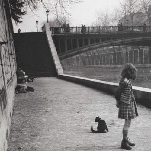 #133 Best of algorithm - The algorithm