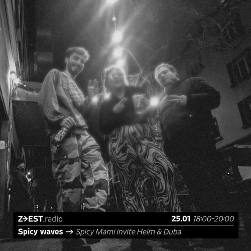 Spicy waves - Spicy Mami invite Heim & Duba Soundcloud podcast image for