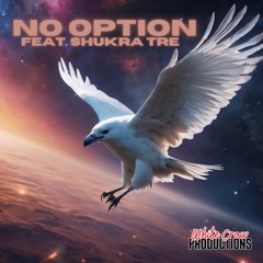 No Option (feat. Shukra Tre)