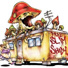 z3e Eminem 2 trailer park gals