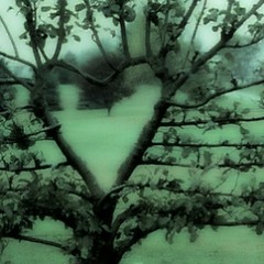 У мого дому - Rymma.mp3