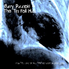 Barry Paranoid & The Tin Foil Hats - This Song Isn't About You
