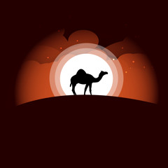 Cairo Nightshade