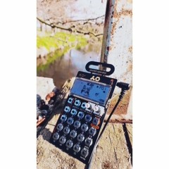 s p r i n g (po33beat)