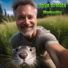 Love Or Hate