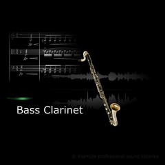 Xsample Bass Clarinet