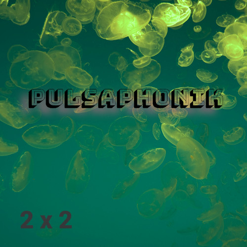 2x2 - Pulsaphonik