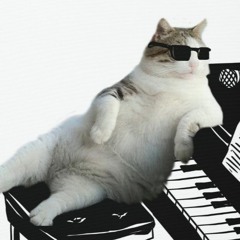 Little mouse on the keys