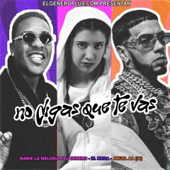 No Digas Que Te vas (Remix)