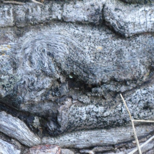 Unnamed Beat