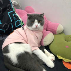 NHẠC LẮC LƯ  VIỆT MIX NHẠC CỔ 8X 9X  DJ TRIỆU MUZIK  Đồi Quán Artistry Mansion