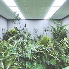 KVN - AETERNA GLOW 2024-12-29 20_37.wav