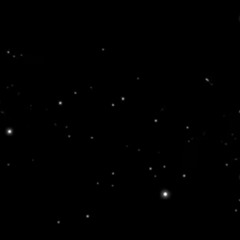 FREE FALL TYPE SH!(FT RN)