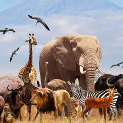 سورة حولها سبعون ألف ملك ! | خاطرة الفجر | د . حازم شومان