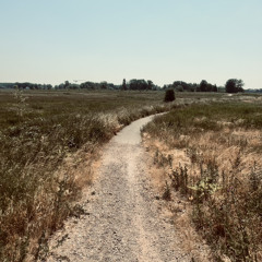 WALK